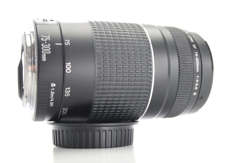 Canon EF 75-300 mm f/4,0-5,6 DC III